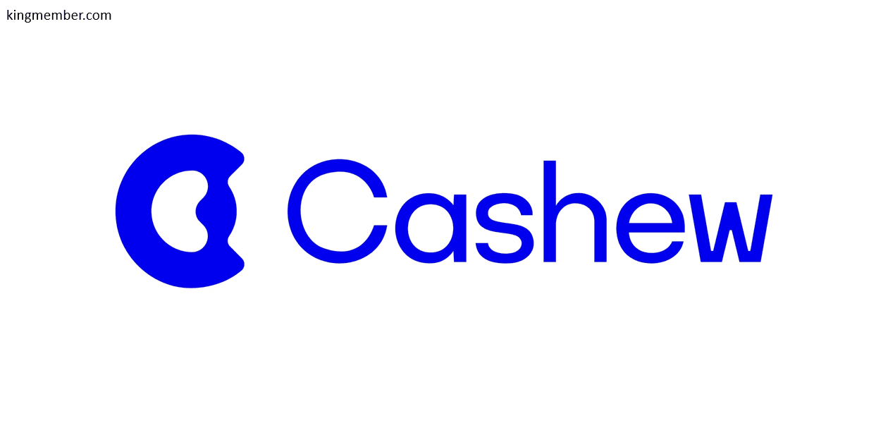 Cashew: تحول تحقیقات بازار با هوش مصنوعی